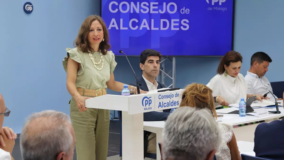 Los alcaldes del PP en Málaga explotan contra las averías de trenes y los atascos: "Nos sentimos estafados"
