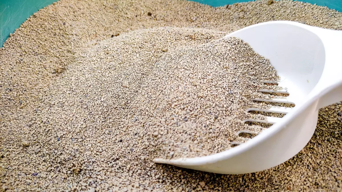 Dos detenidos en Portugal por colar desde Vigo 400 kilos de cocaína mezclada con arena de gato