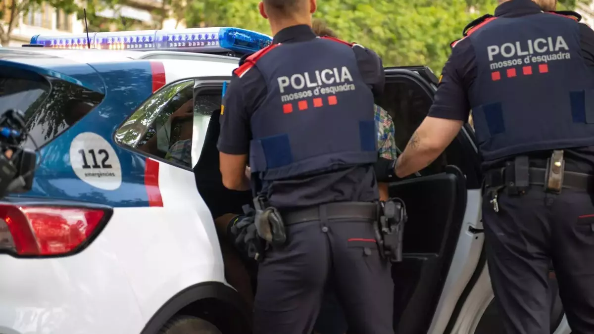 Llibertat amb càrrecs per a la veterinària inhabilitada de la Selva